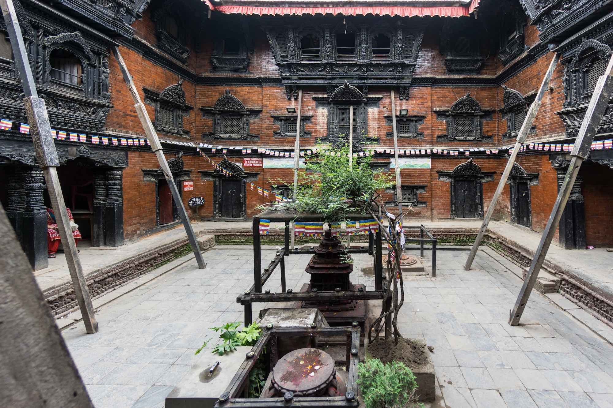 five-years-on-temples-still-on-wooden-stand